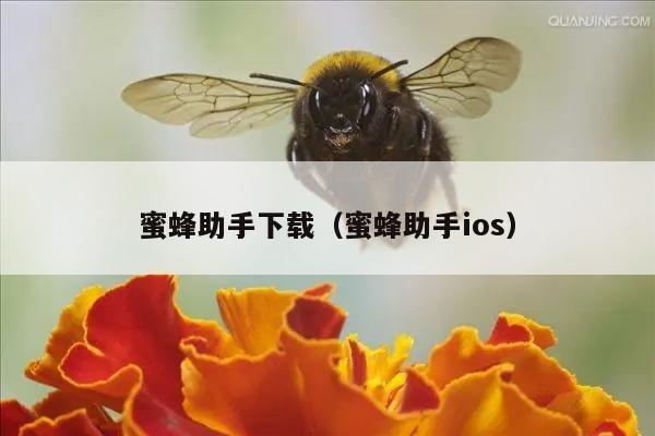 蜜蜂助手下载（蜜蜂助手ios）