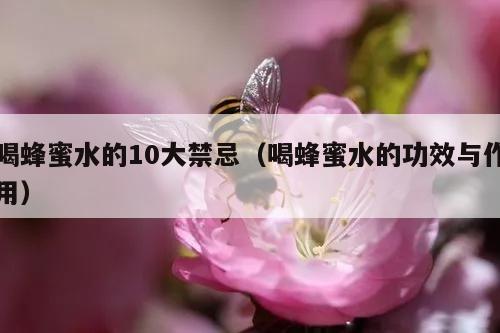 喝蜂蜜水的10大禁忌（喝蜂蜜水的功效与作用）