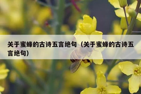 关于蜜蜂的古诗五言绝句（关于蜜蜂的古诗五言绝句）