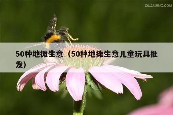 50种地摊生意（50种地摊生意儿童玩具批发）