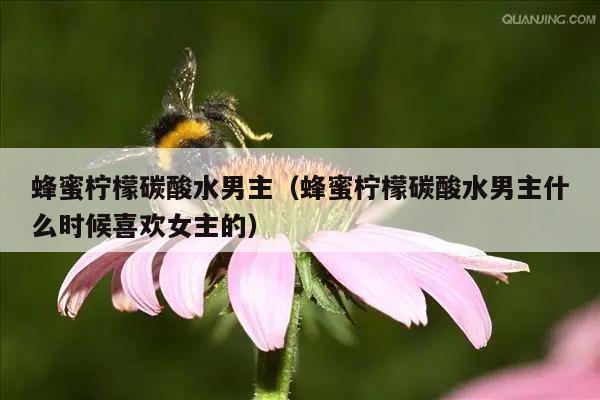 蜂蜜柠檬碳酸水男主（蜂蜜柠檬碳酸水男主什么时候喜欢女主的）