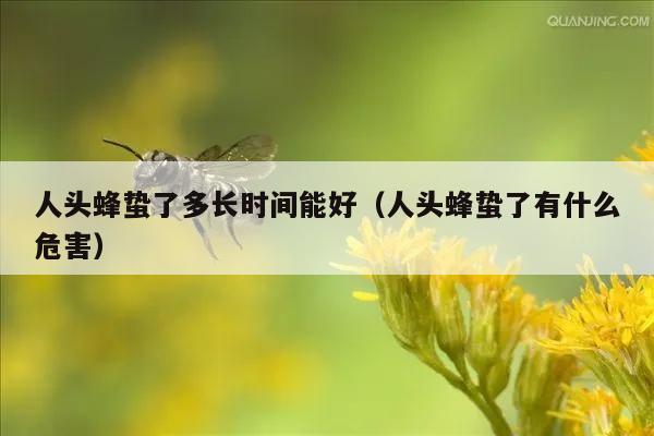 人头蜂蛰了多长时间能好（人头蜂蛰了有什么危害）