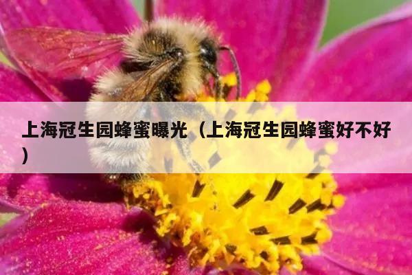 上海冠生园蜂蜜曝光（上海冠生园蜂蜜好不好）