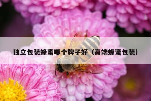 独立包装蜂蜜哪个牌子好（高端蜂蜜包装）