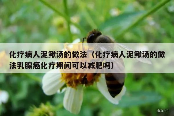 化疗病人泥鳅汤的做法（化疗病人泥鳅汤的做法乳腺癌化疗期间可以减肥吗）