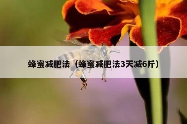 蜂蜜减肥法（蜂蜜减肥法3天减6斤）