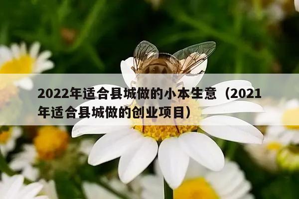 2022年适合县城做的小本生意（2021年适合县城做的创业项目）