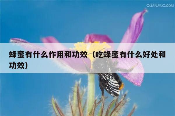 蜂蜜有什么作用和功效（吃蜂蜜有什么好处和功效）