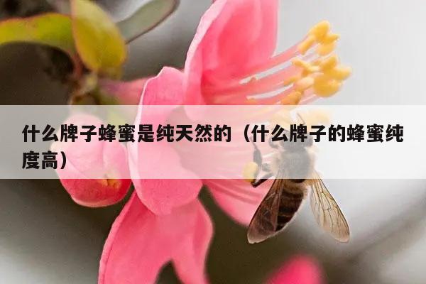 什么牌子蜂蜜是纯天然的（什么牌子的蜂蜜纯度高）