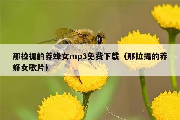 那拉提的养蜂女mp3免费下载（那拉提的养蜂女歌片）