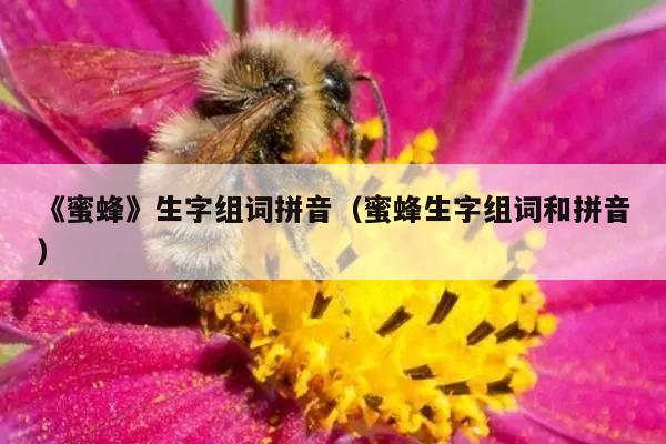 《蜜蜂》生字组词拼音（蜜蜂生字组词和拼音）