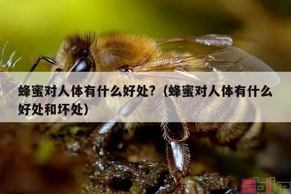 蜂蜜对人体有什么好处?（蜂蜜对人体有什么好处和坏处）