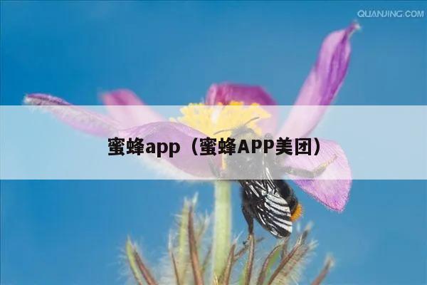 蜜蜂app（蜜蜂APP美团）