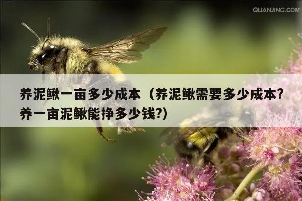 养泥鳅一亩多少成本（养泥鳅需要多少成本?养一亩泥鳅能挣多少钱?）