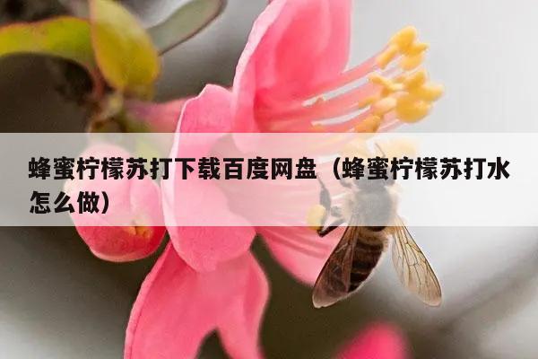 蜂蜜柠檬苏打下载百度网盘（蜂蜜柠檬苏打水怎么做）