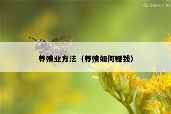 养殖业方法（养殖如何赚钱）