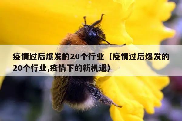 疫情过后爆发的20个行业（疫情过后爆发的20个行业,疫情下的新机遇）