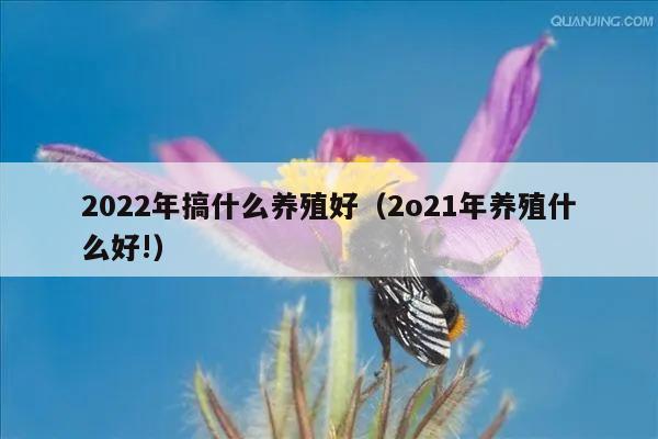 2022年搞什么养殖好（2o21年养殖什么好!）