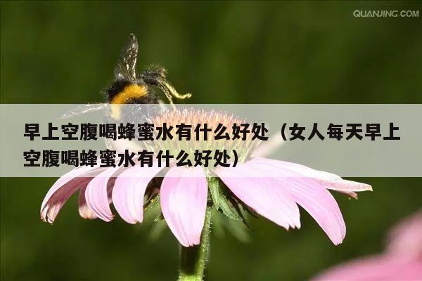 早上空腹喝蜂蜜水有什么好处（女人每天早上空腹喝蜂蜜水有什么好处）