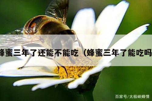 蜂蜜三年了还能不能吃（蜂蜜三年了能吃吗）