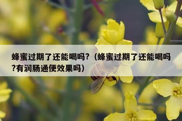 蜂蜜过期了还能喝吗?（蜂蜜过期了还能喝吗?有润肠通便效果吗）