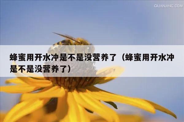 蜂蜜用开水冲是不是没营养了（蜂蜜用开水冲是不是没营养了）