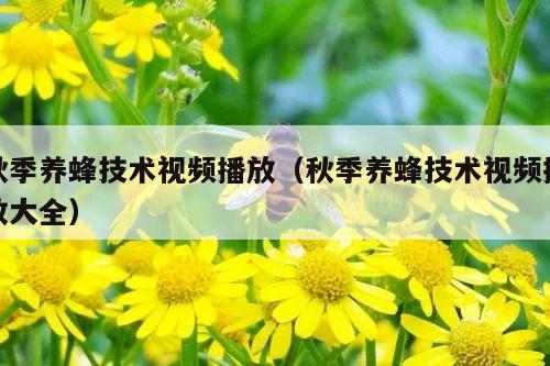 秋季养蜂技术视频播放（秋季养蜂技术视频播放大全）