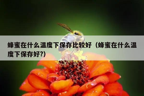 蜂蜜在什么温度下保存比较好（蜂蜜在什么温度下保存好?）