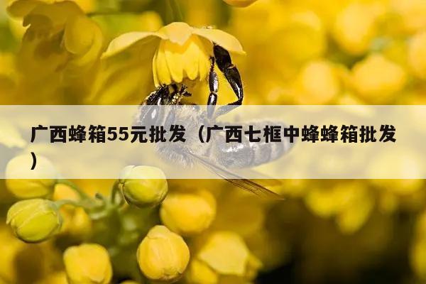 广西蜂箱55元批发（广西七框中蜂蜂箱批发）