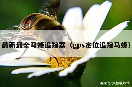 最新最全马蜂追踪器（gps定位追踪马蜂）