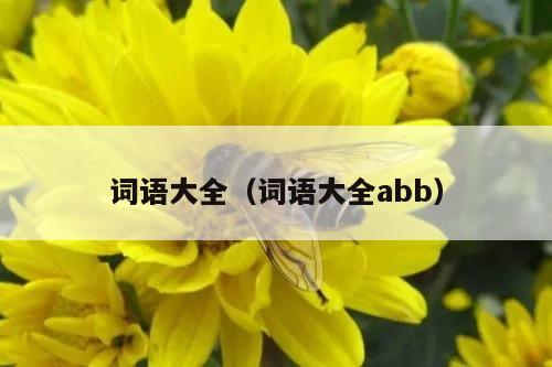 词语大全（词语大全abb）