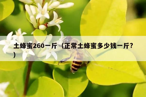 土蜂蜜260一斤（正常土蜂蜜多少钱一斤?）