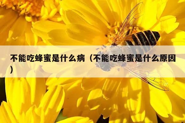 不能吃蜂蜜是什么病（不能吃蜂蜜是什么原因）