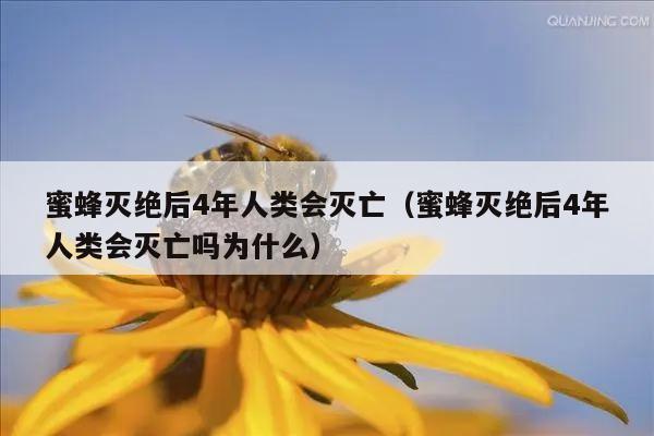 蜜蜂灭绝后4年人类会灭亡（蜜蜂灭绝后4年人类会灭亡吗为什么）