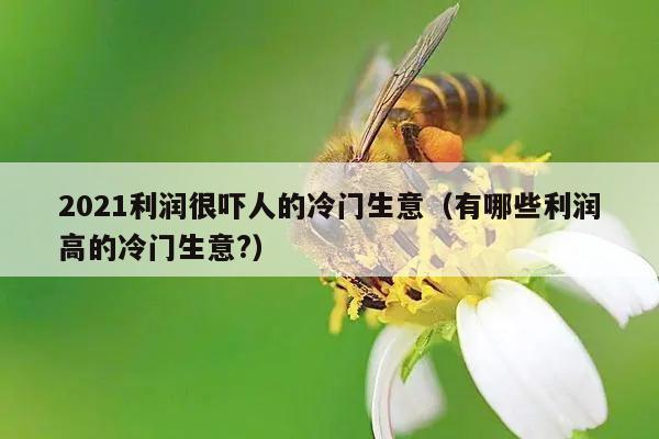 2021利润很吓人的冷门生意（有哪些利润高的冷门生意?）