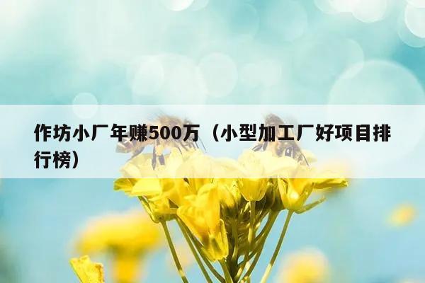 作坊小厂年赚500万（小型加工厂好项目排行榜）