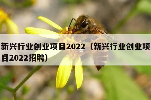 新兴行业创业项目2022（新兴行业创业项目2022招聘）