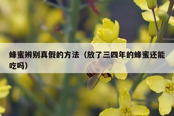 蜂蜜辨别真假的方法（放了三四年的蜂蜜还能吃吗）