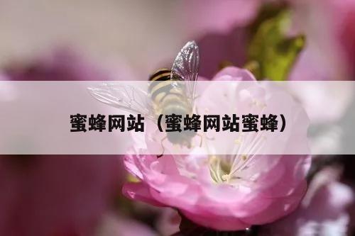 蜜蜂网站（蜜蜂网站蜜蜂）