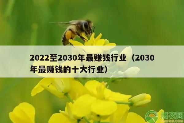 2022至2030年最赚钱行业（2030年最赚钱的十大行业）