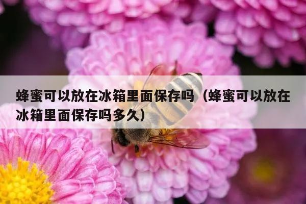 蜂蜜可以放在冰箱里面保存吗（蜂蜜可以放在冰箱里面保存吗多久）