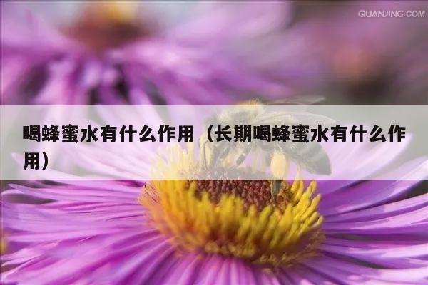 喝蜂蜜水有什么作用（长期喝蜂蜜水有什么作用）