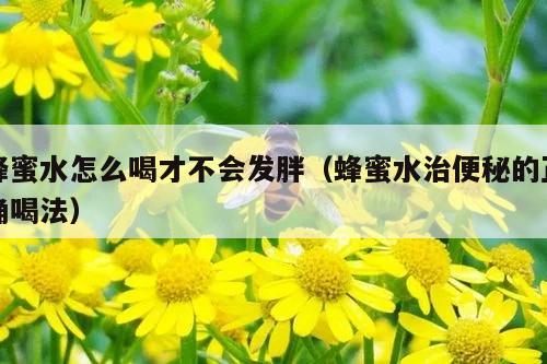 蜂蜜水怎么喝才不会发胖（蜂蜜水治便秘的正确喝法）