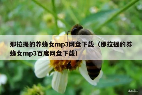 那拉提的养蜂女mp3网盘下载（那拉提的养蜂女mp3百度网盘下载）