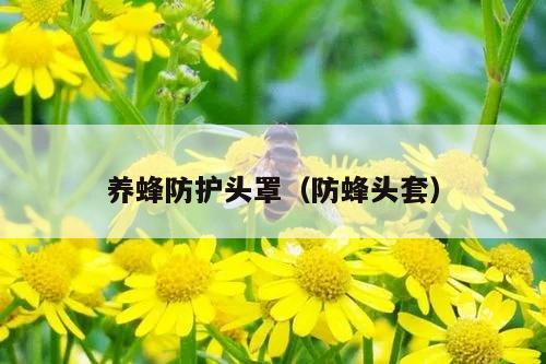 养蜂防护头罩（防蜂头套）