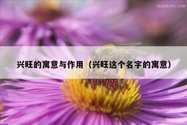 兴旺的寓意与作用（兴旺这个名字的寓意）