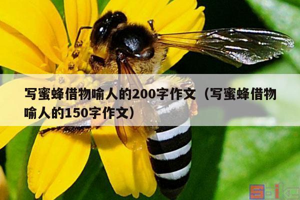 写蜜蜂借物喻人的200字作文（写蜜蜂借物喻人的150字作文）