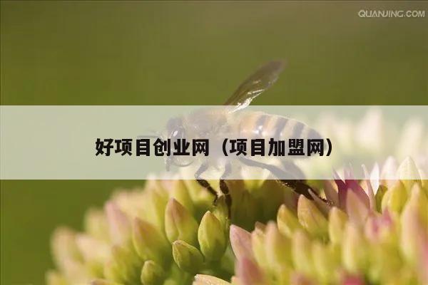 好项目创业网（项目加盟网）