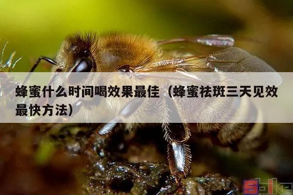 蜂蜜什么时间喝效果最佳（蜂蜜祛斑三天见效最快方法）