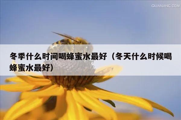 冬季什么时间喝蜂蜜水最好（冬天什么时候喝蜂蜜水最好）